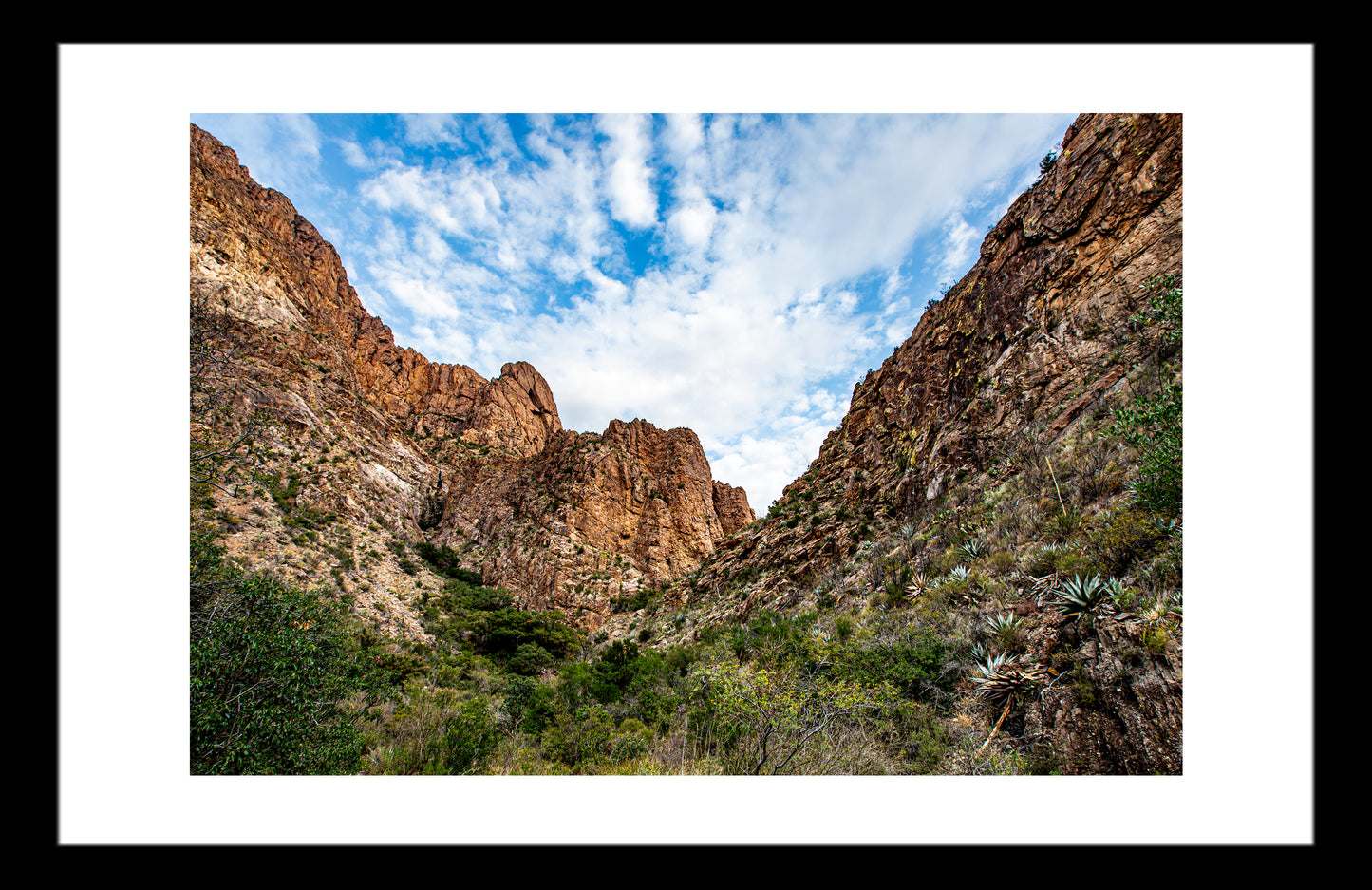 Big Bend Chisos Mountains