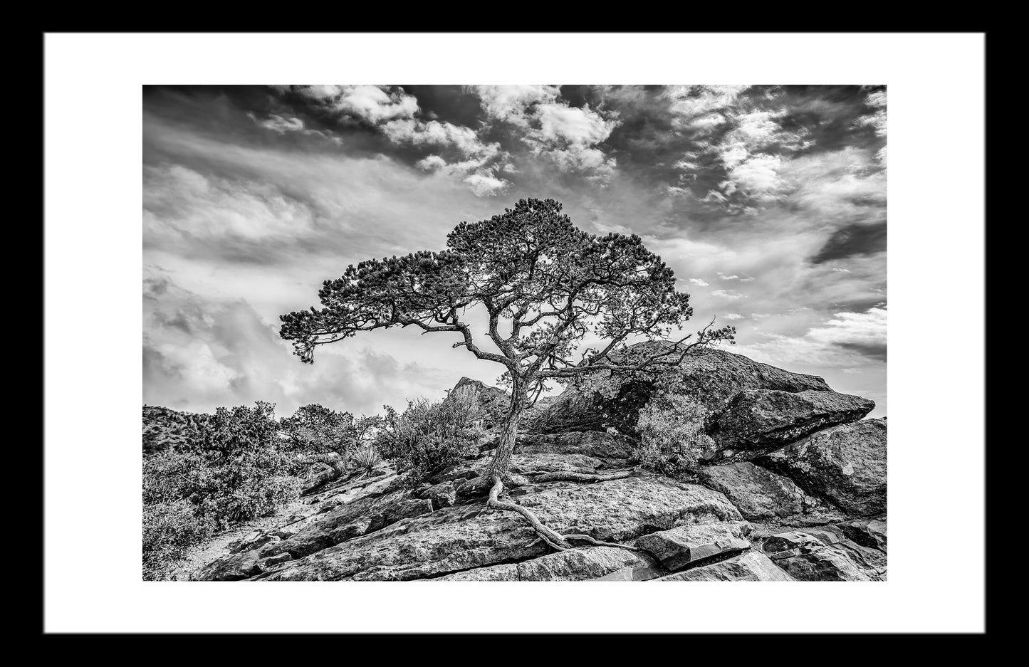 Between a Rock and a High Place