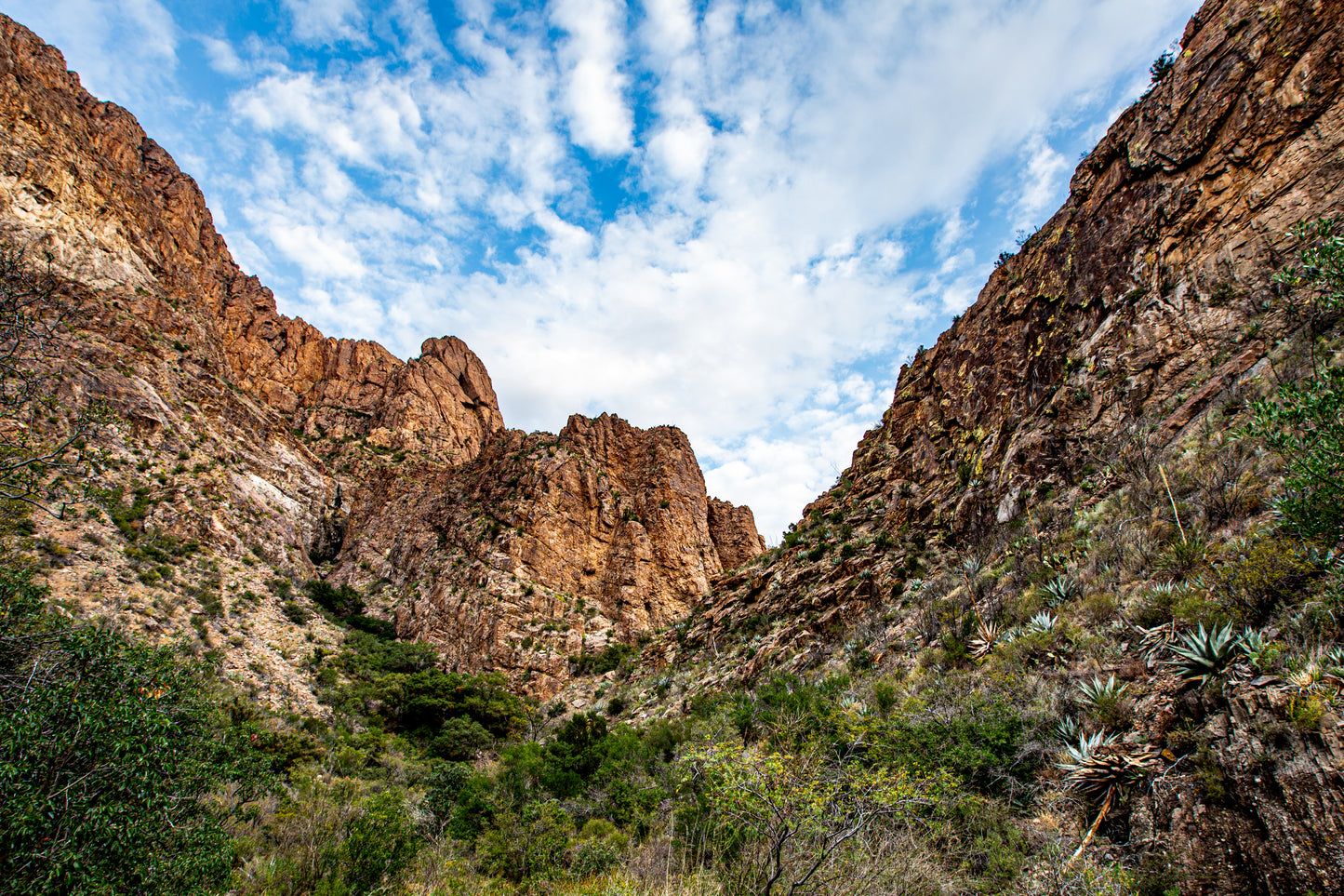 Big Bend Chisos Mountains