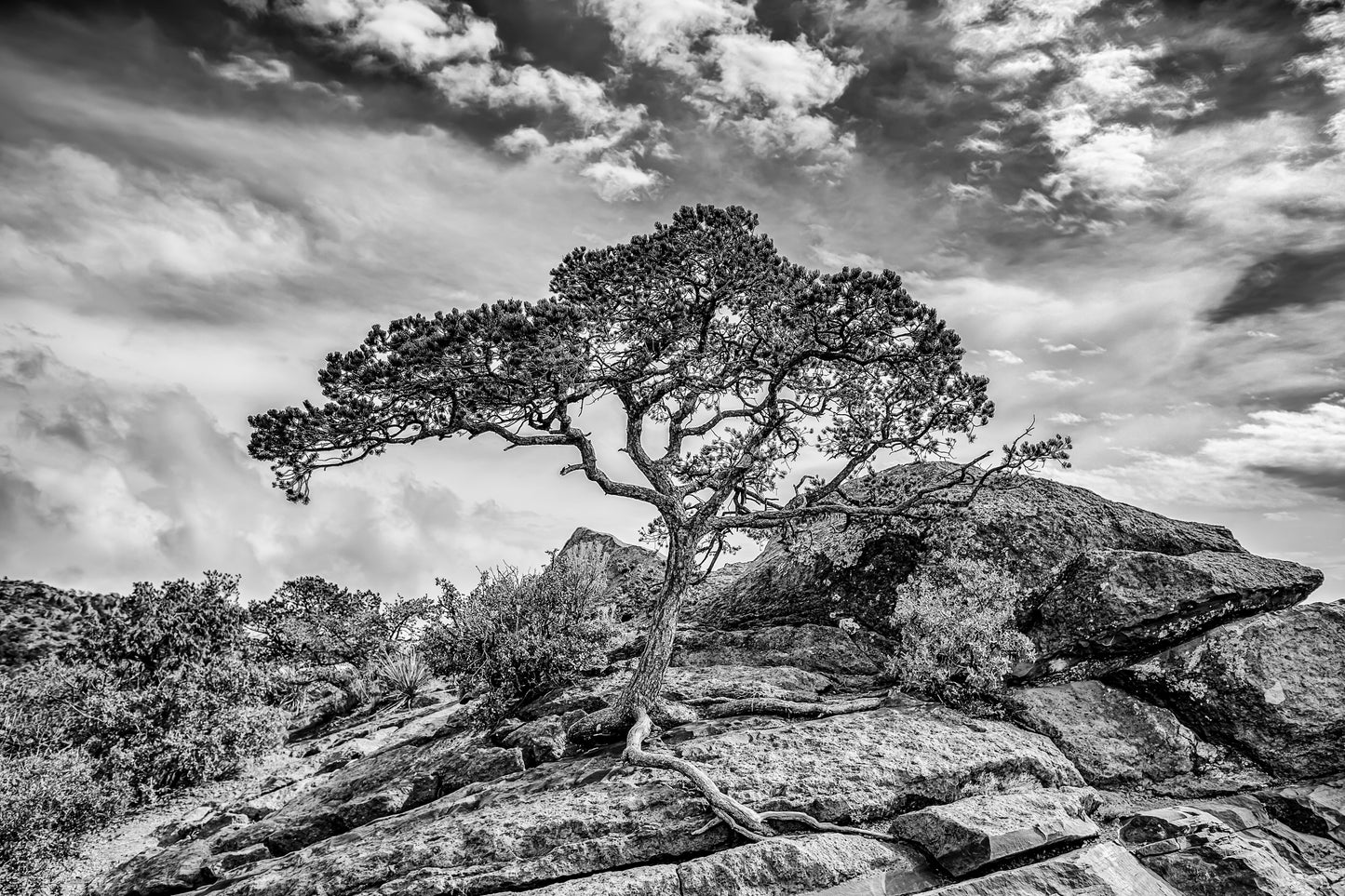 Between a Rock and a High Place